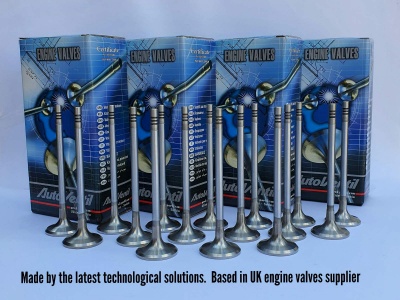 Set of 16 engine valves for BMW N47 D20 B, N47 C20 A 2.0 Diesel engines